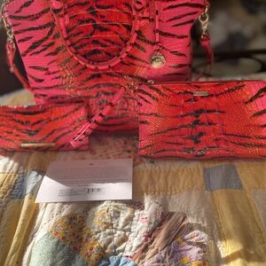 Brahmin Pink Feline Ombre 3 piece  set